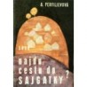 Perfiljevová Anastasija - Najdu cestu do Sajgatky?