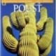 Poušť