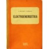 Weisser Oldřich, Schulz Ferdinand - Elektroenergetika