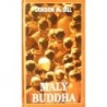 McGill Gordon - Malý Buddha