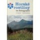 Čihař Jiří, Kovanda Miloslav - Horské rostliny ve fotografii