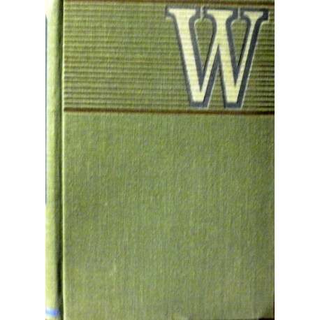 Williams Herbert D. - Ocelová silnice