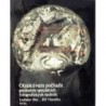 Drs Ladislav, Všetečka Jiří - Objektivem počítače