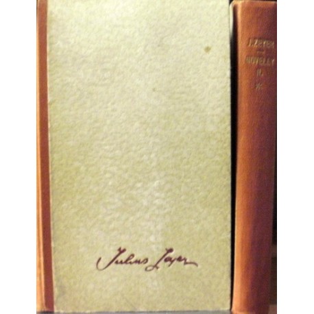 Zeyer Julius - Novelly I., II.