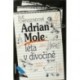 Townsendová Sue - Adrian Mole - léta v divočině
