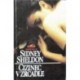 Sheldon Sidney - Cizinec v zrcadle