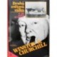 Churchill Winston S. - Druhá světová válka IV.- Karta se obrací