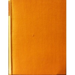 Neruda Jan - Studie krátké a kratší