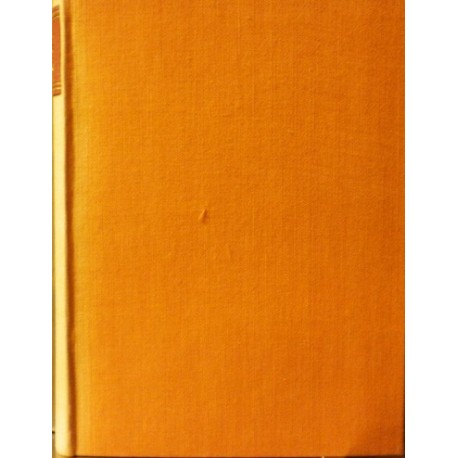Neruda Jan - Studie krátké a kratší
