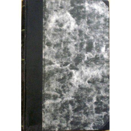 Šembera Alois Vojtěch - Dějiny řeči a literatury české