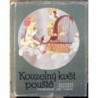 Tomek Jiří - Kouzelný květ pouště
